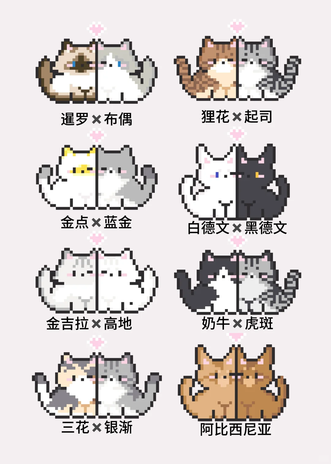 贴贴猫（附色号）-零一像素实验室